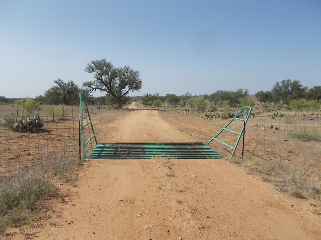 Cattle Guard starts entrance to property 
